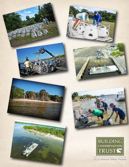 Building Conservation Trust's Fantasy Island Oyster Shoreline Collage